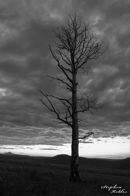 LAST DOLLAR ROAD #130