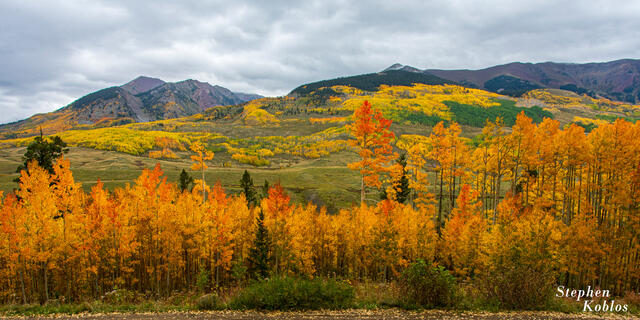 CRESTED BUTTE #147