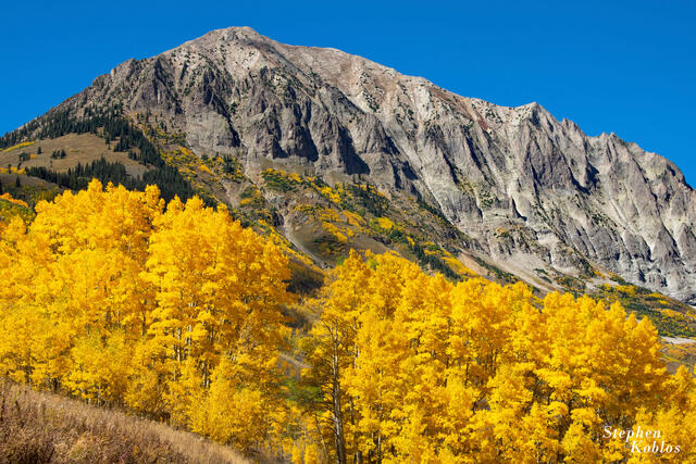 CRESTED BUTTE #175
