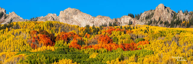Mountains and red aspens over Kebler Pass.