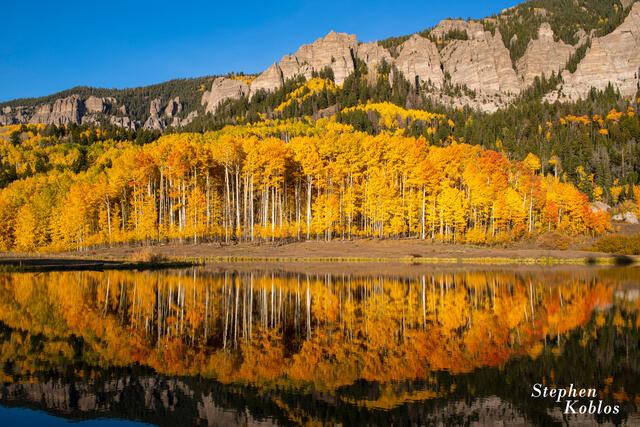 reflection of aspens in the Cimarron Mountains.