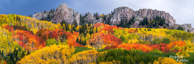 green yellow and red aspens with mountains.