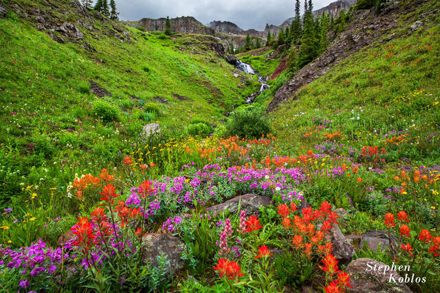 UNCOMPAHGRE NATIONAL FOREST  #315
