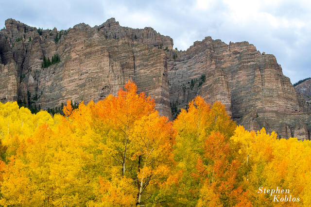 Aspens under the Cimarron Mountains.