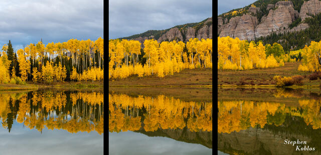Large Format Triptychs