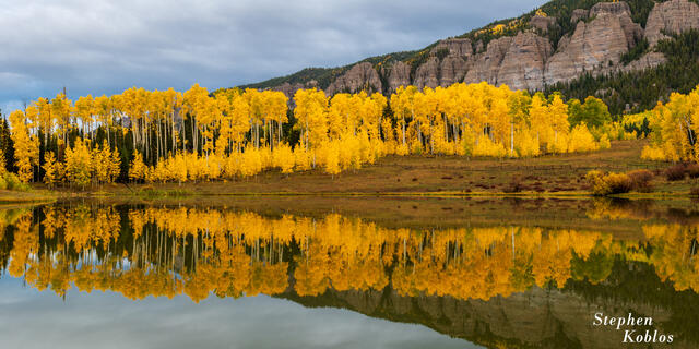 Reflections of aspens on Rowdy Lake.