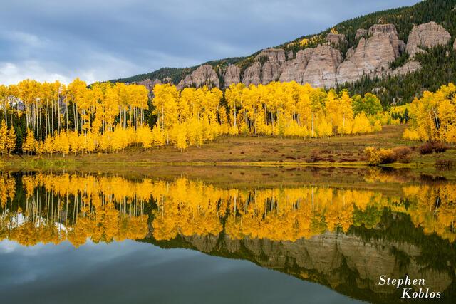 A reflection of aspens on a lake in the Cimarron Mountains