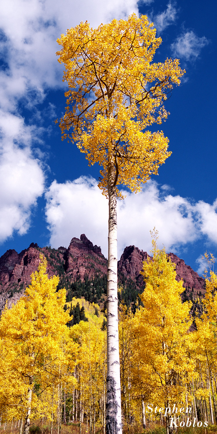 Autumn in the maroon bells snowmass wilderness. limited Edition of 250