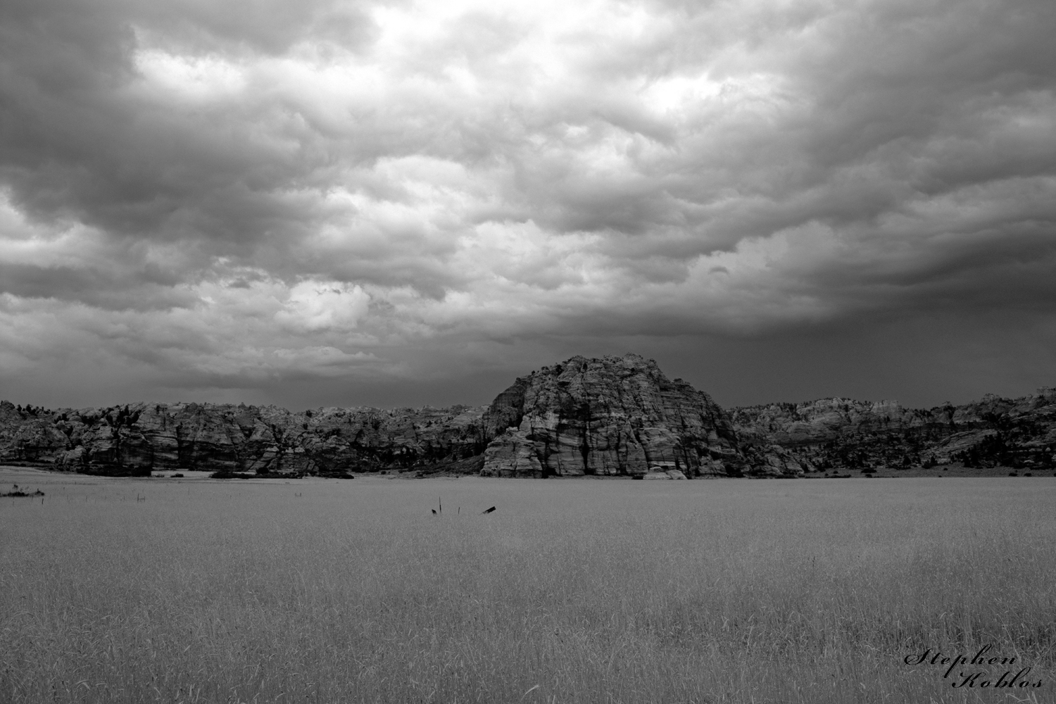 Summer grasses below storm clouds. Limited Edition of 100