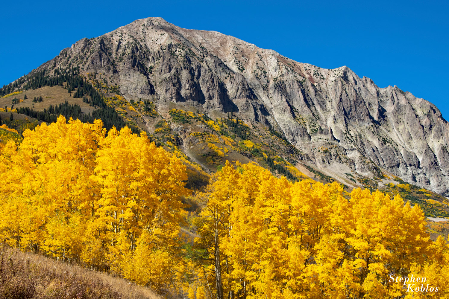 Glowing aspens under Gothic Mountain.  Limited Edition of 250