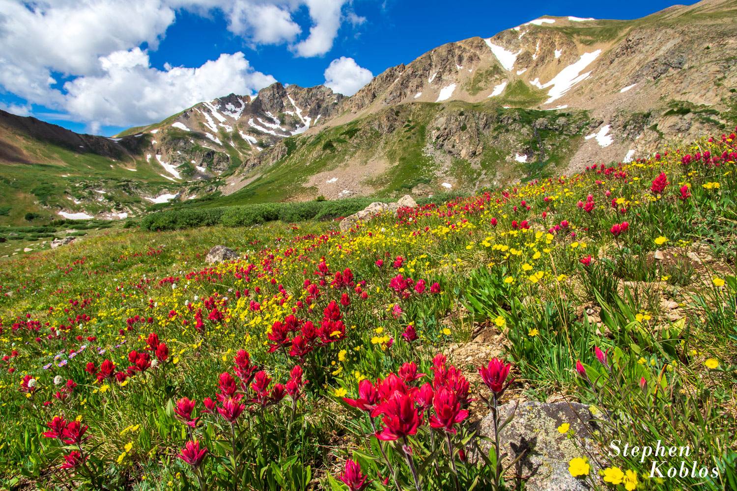 Rosy Paintbrush at Herman Gulch.  Limited Edition of 100