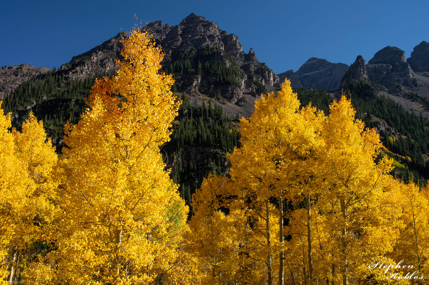 Aspens below Pyramid Peak. Pyramid is in the background.Limited Edition of 100