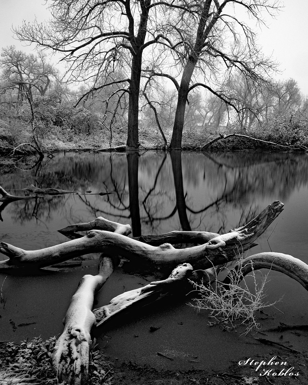 Reflections on a pond at the Cheese Ranch Historic & Natural area. Limited Edition of 100