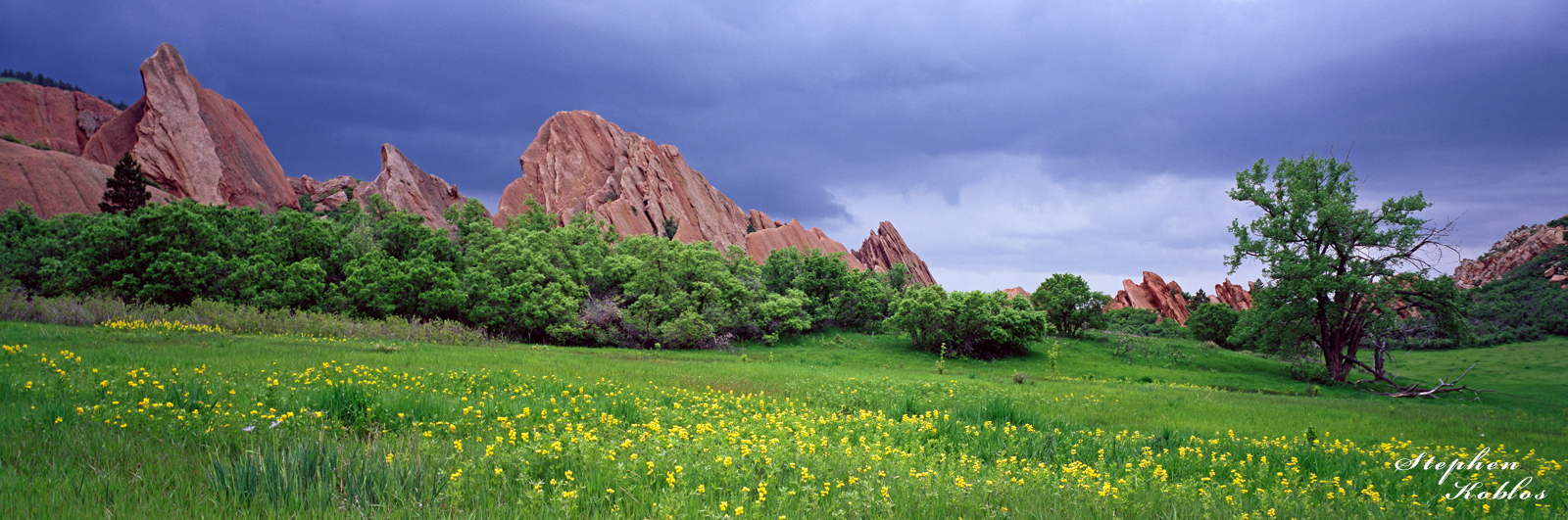 Storm over Roxborough  Limited Edition of 250