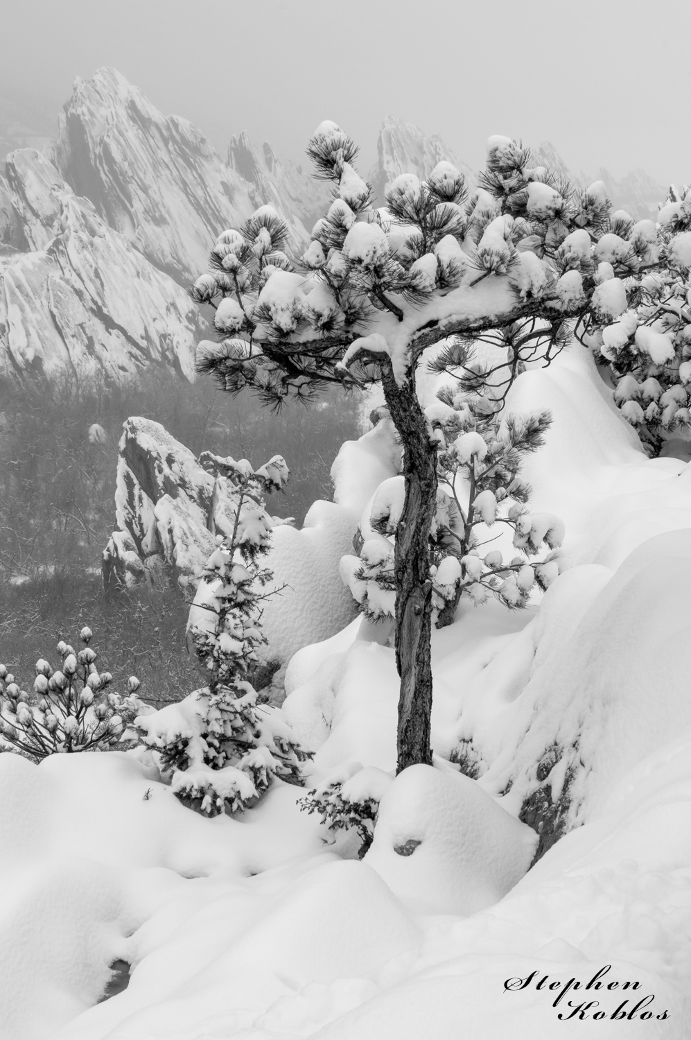 Winter at Roxborough. Limited Edition of 100