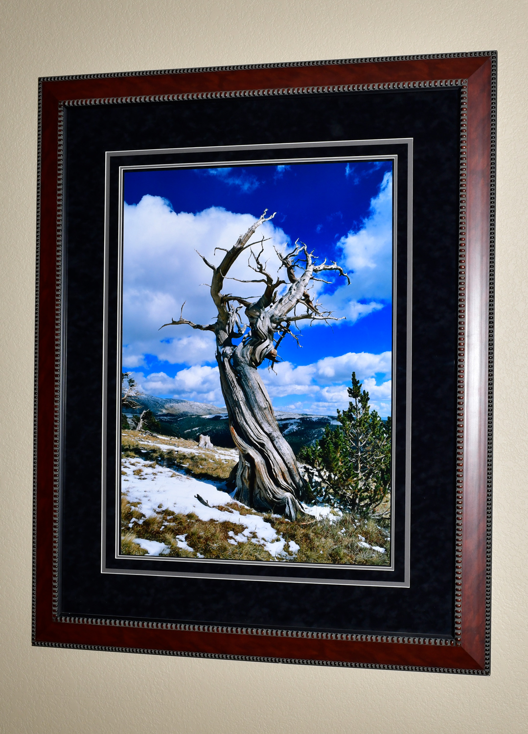 The photo dimensions are 28"X38". The frame dimensions are 46"X56".