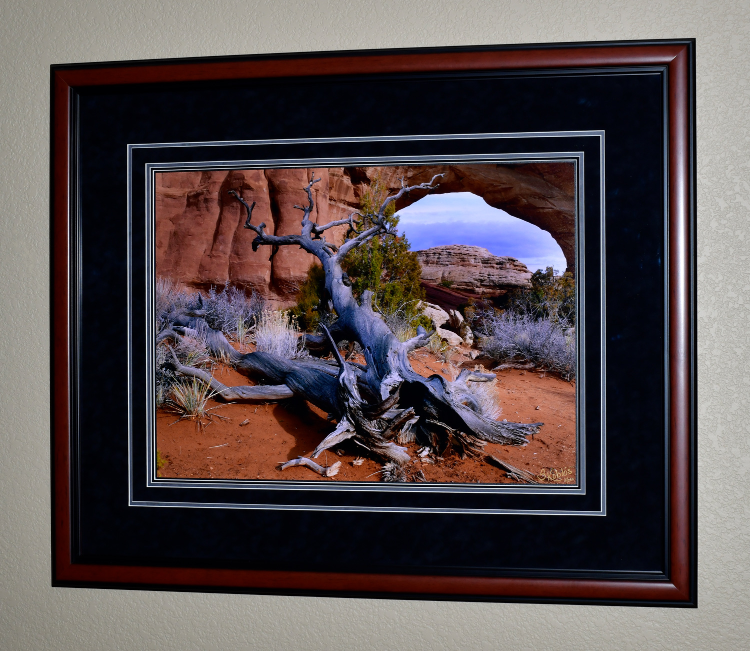 The photo dimensions are 20"X27". The frame dimensions are 34"X41".